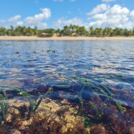 Laus Bangalos Experience - Piscina Privativa - Praia De Algodoes - Peninsula De Marau - Bahia Praia dos Algodoes Kültér fotó